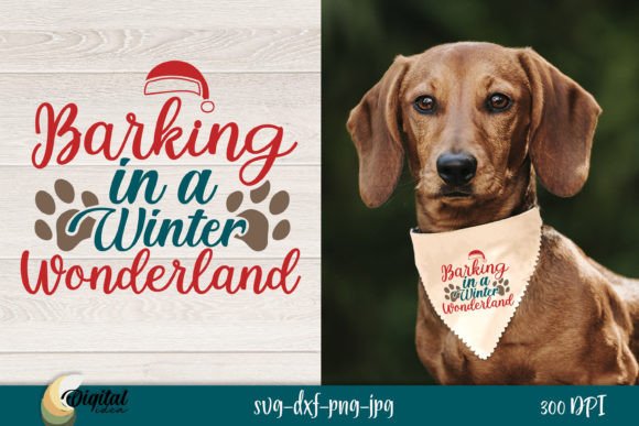 Barking in a Winter Wonderland: A Designer’s Review